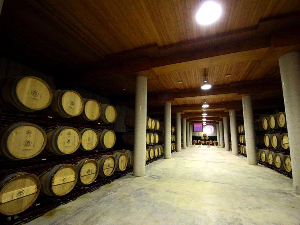 Hotel Château Viñasoro Alcazar de San Juan Ngoại thất bức ảnh